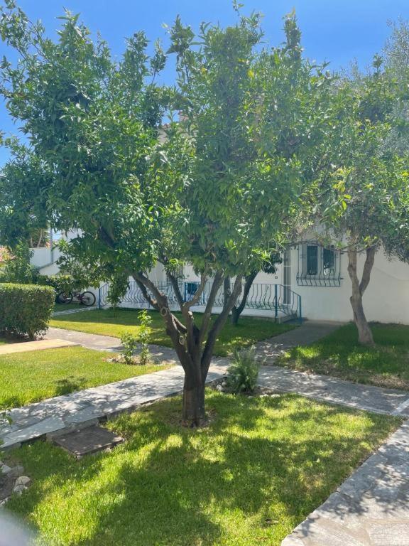 הוילה מולה קליבה Three Sisters House מראה חיצוני תמונה